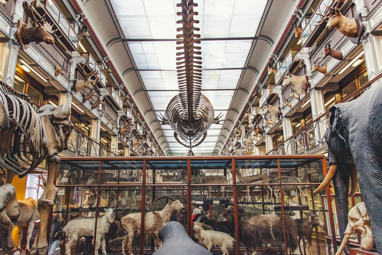 How Modern Environmental Research Shapes Our Future