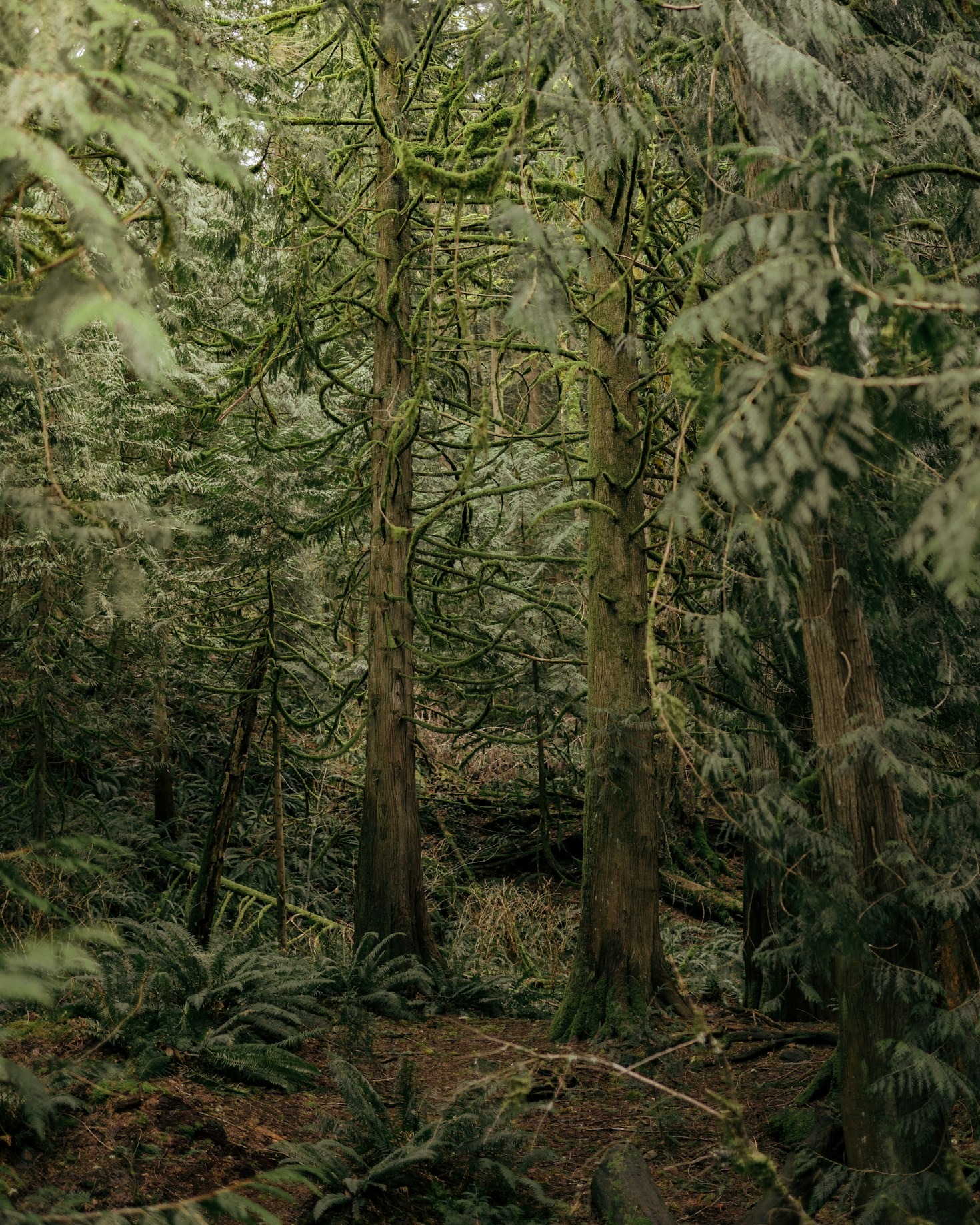 From Microbes to Mountains: Mapping the Natural World